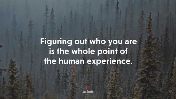 Figuring out who you are is the whole point of the human experience. | Anna Quindlen quote