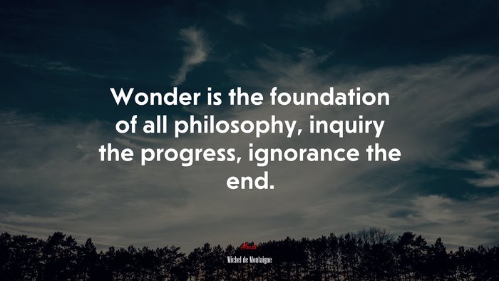 Wonder is the foundation of all philosophy, inquiry the progress, ignorance the end. | Michel de Montaigne quote