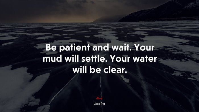 Be patient and wait. Your mud will settle. Your water will be clear. | James Frey quote