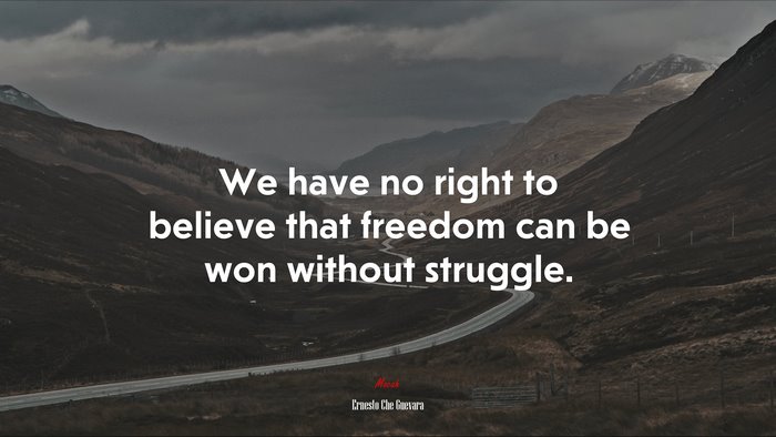 We have no right to believe that freedom can be won without struggle. | Ernesto Che Guevara quote