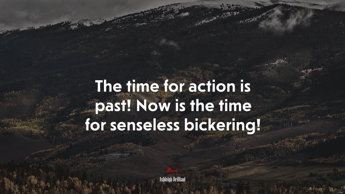 The time for action is past! Now is the time for senseless bickering! | Ashleigh Brilliant quote