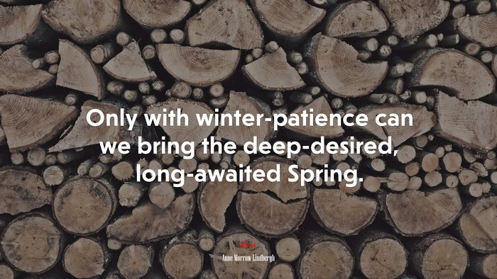 Only with winter-patience can we bring the deep-desired, long-awaited Spring. | Anne Morrow Lindbergh quote