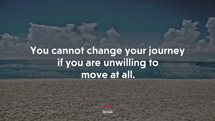 You cannot change your journey if you are unwilling to move at all. | Ally Condie quote