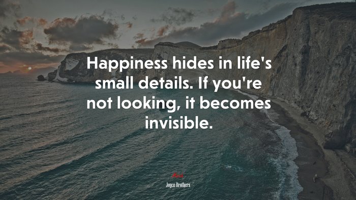 Happiness hides in life’s small details. If you’re not looking, it becomes invisible. | Joyce Brothers quote