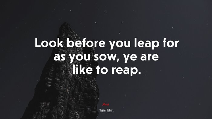 Look before you leap for as you sow, ye are like to reap. | Samuel Butler quote