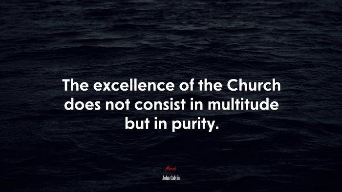 The excellence of the Church does not consist in multitude but in purity. | John Calvin quote