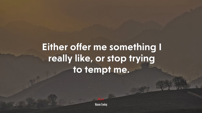 Either offer me something I really like, or stop trying to tempt me. | Mason Cooley quote