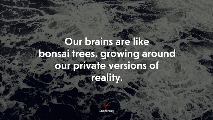 Our brains are like bonsai trees, growing around our private versions of reality. | Sloane Crosley quote