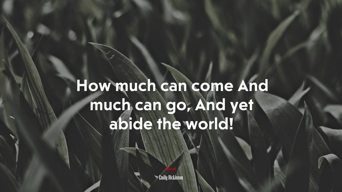 How much can come And much can go, And yet abide the world! | Emily Dickinson quote