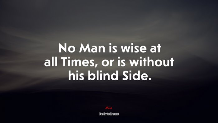 No Man is wise at all Times, or is without his blind Side. | Desiderius Erasmus quote