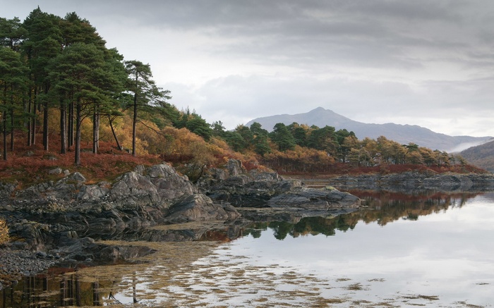Rocky shoreline with trees and mountains reflected in water