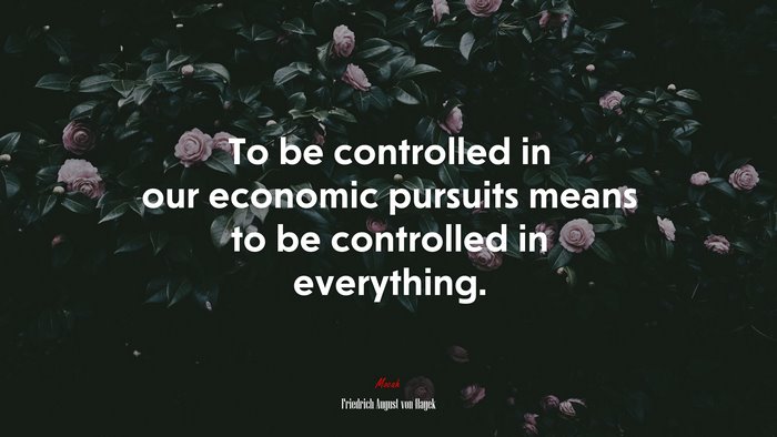 To be controlled in our economic pursuits means to be controlled in everything. | Friedrich August von Hayek quote