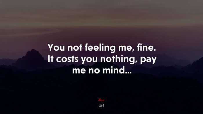 You not feeling me, fine. It costs you nothing, pay me no mind... | Jay-Z quote