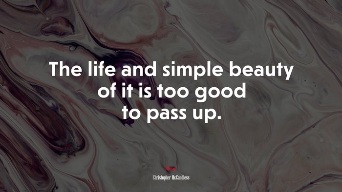 The life and simple beauty of it is too good to pass up. | Christopher McCandless quote