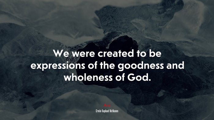 We were created to be expressions of the goodness and wholeness of God. | Erwin Raphael McManus quote