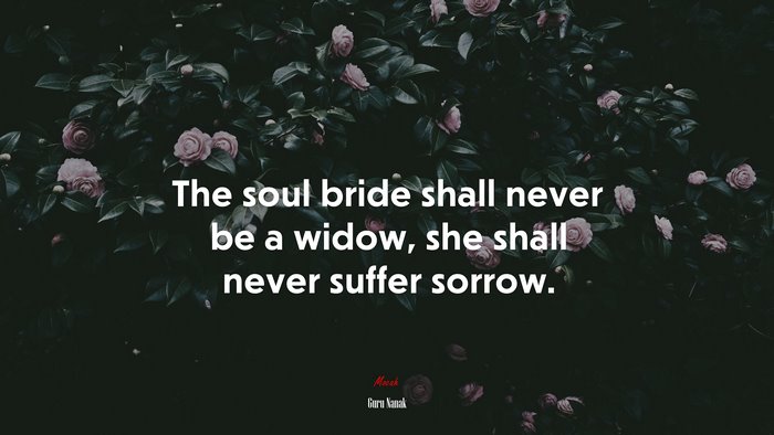 The soul bride shall never be a widow, she shall never suffer sorrow. | Guru Nanak quote