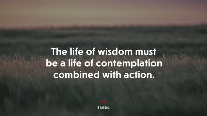 The life of wisdom must be a life of contemplation combined with action. | M. Scott Peck quote