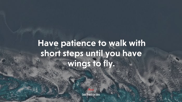 Have patience to walk with short steps until you have wings to fly. | Saint Francis de Sales quote