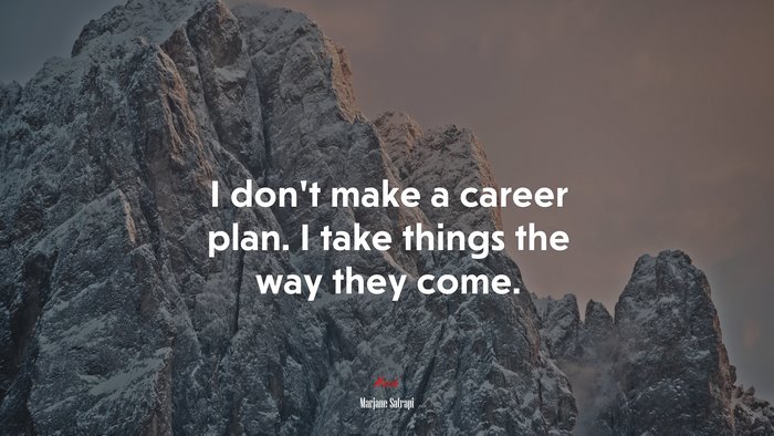 I don’t make a career plan. I take things the way they come. | Marjane Satrapi quote