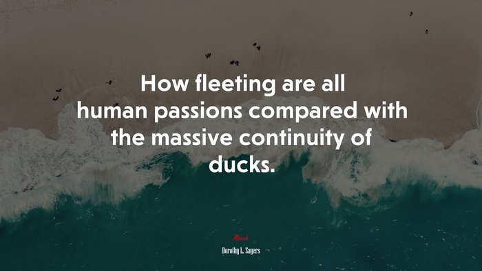 How fleeting are all human passions compared with the massive continuity of ducks. | Dorothy L. Sayers quote