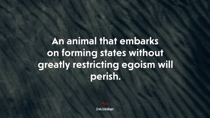 An animal that embarks on forming states without greatly restricting egoism will perish. | Erwin Schrödinger quote