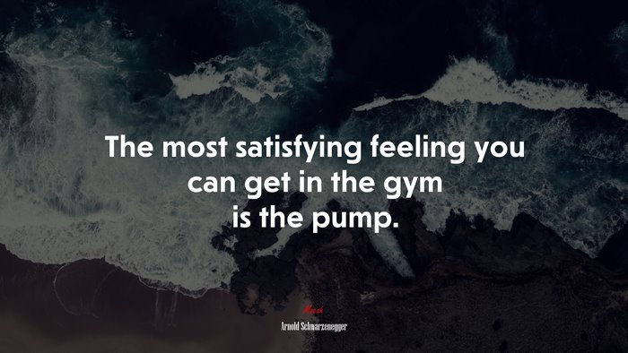 The most satisfying feeling you can get in the gym is the pump. | Arnold Schwarzenegger quote