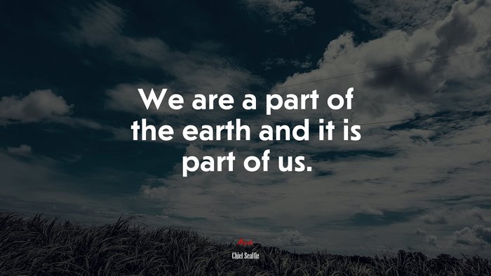We are a part of the earth and it is part of us. | Chief Seattle quote