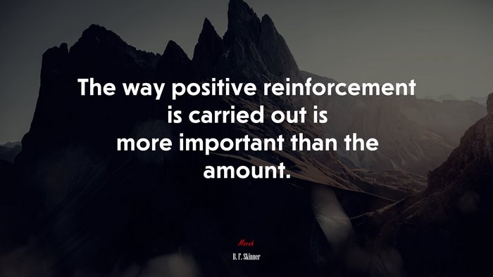 The way positive reinforcement is carried out is more important than the amount. | B. F. Skinner quote