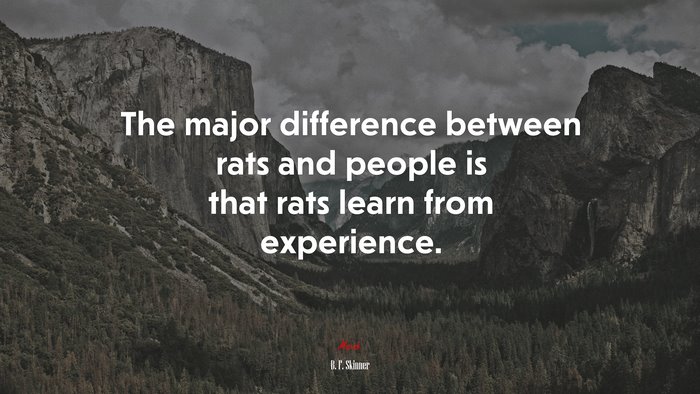 The major difference between rats and people is that rats learn from experience. | B. F. Skinner quote