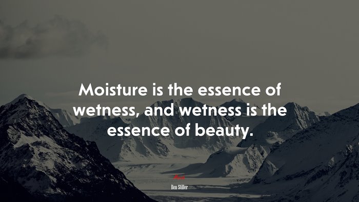 Moisture is the essence of wetness, and wetness is the essence of beauty. | Ben Stiller quote