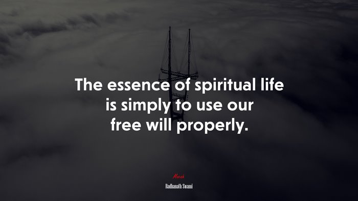 The essence of spiritual life is simply to use our free will properly. | Radhanath Swami quote