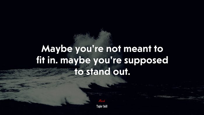 Maybe you’re not meant to fit in. maybe you’re supposed to stand out. | Taylor Swift quote