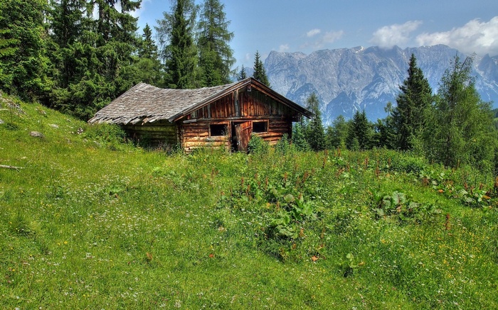 Rustic wooden cabin in a grassy meadow with mountains