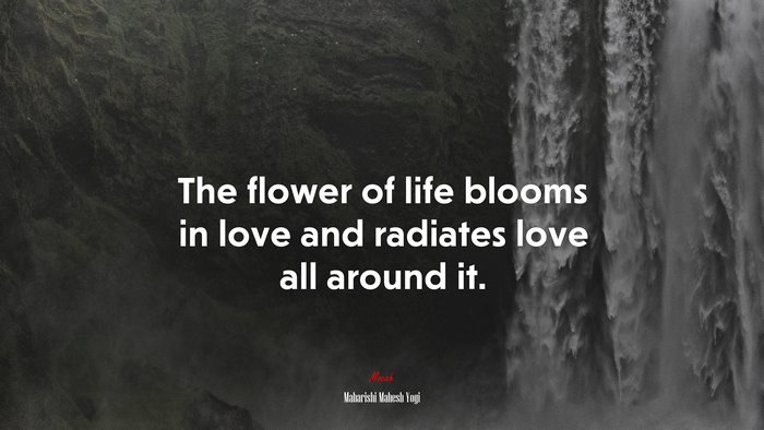 The flower of life blooms in love and radiates love all around it. | Maharishi Mahesh Yogi quote