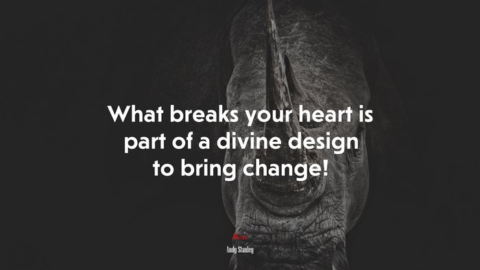 What breaks your heart is part of a divine design to bring change! | Andy Stanley quote