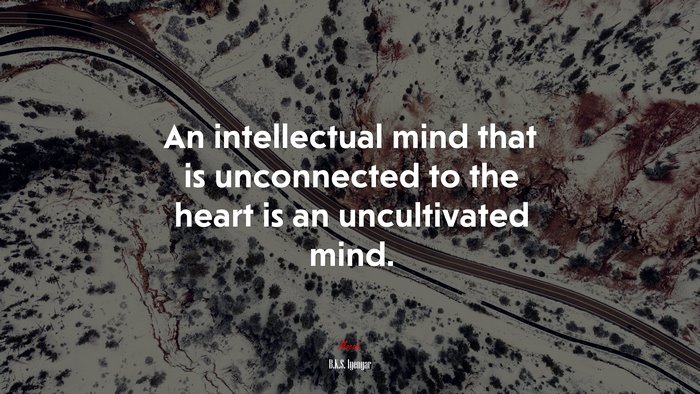 An intellectual mind that is unconnected to the heart is an uncultivated mind. | B.K.S. Iyengar quote