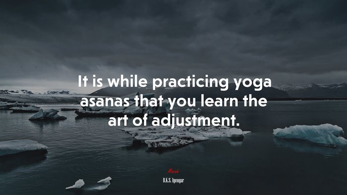 It is while practicing yoga asanas that you learn the art of adjustment. | B.K.S. Iyengar quote