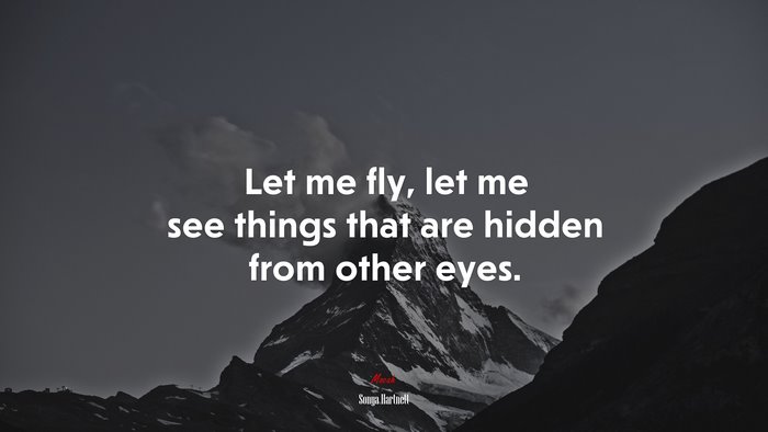 Let me fly, let me see things that are hidden from other eyes. | Sonya Hartnett quote