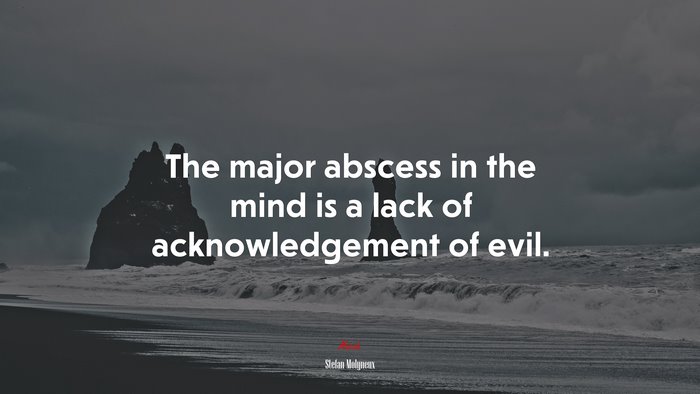The major abscess in the mind is a lack of acknowledgement of evil. | Stefan Molyneux quote