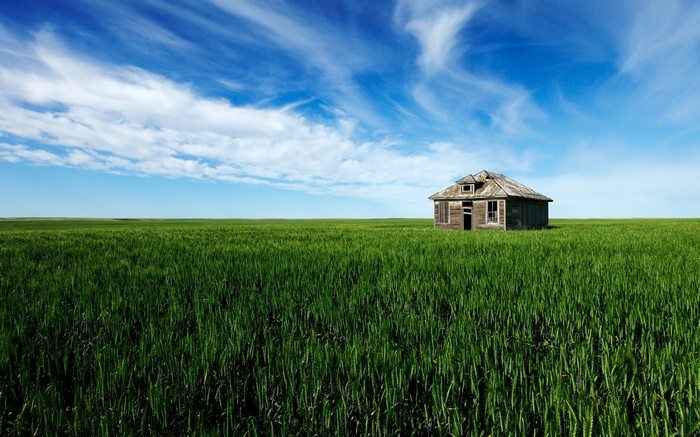 Abandoned house in a green field under a blue sky