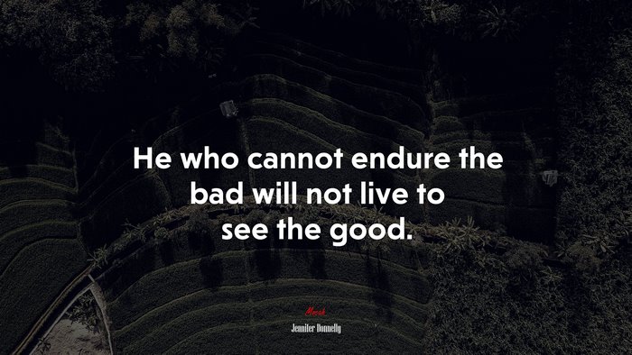 He who cannot endure the bad will not live to see the good. | Jennifer Donnelly quote
