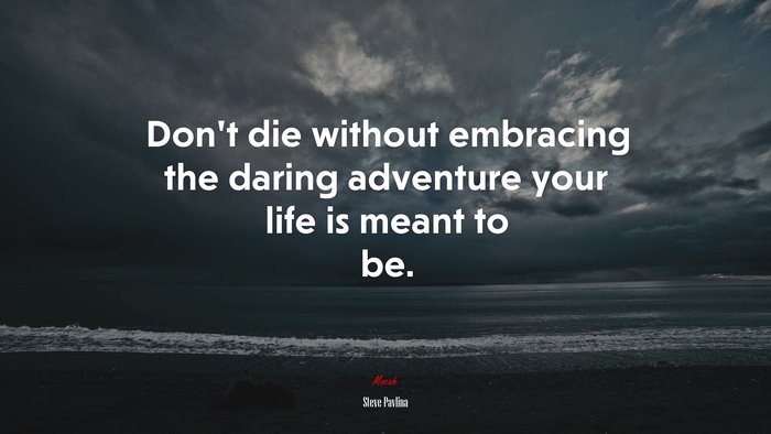 Don’t die without embracing the daring adventure your life is meant to be. | Steve Pavlina quote