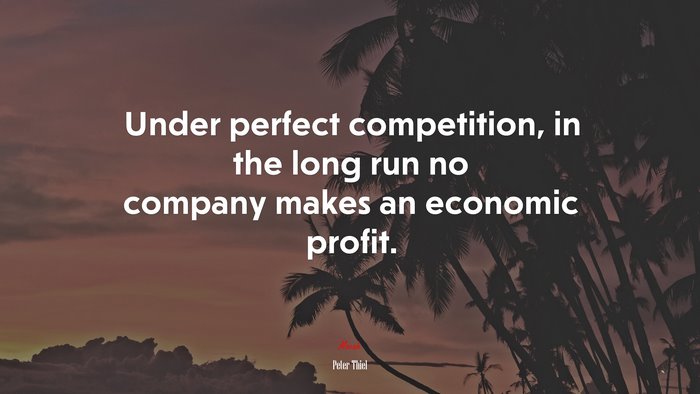 Under perfect competition, in the long run no company makes an economic profit. | Peter Thiel quote
