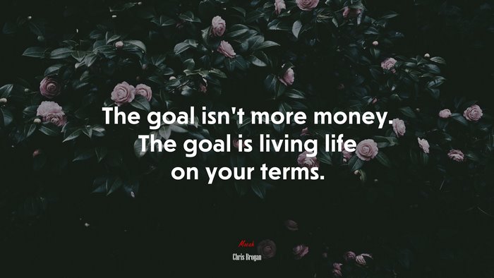 The goal isn’t more money. The goal is living life on your terms. | Chris Brogan quote