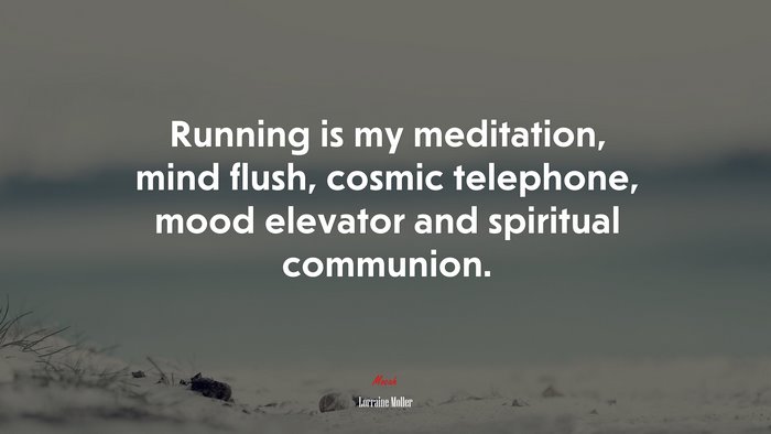Running is my meditation, mind flush, cosmic telephone, mood elevator and spiritual communion. | Lorraine Moller quote