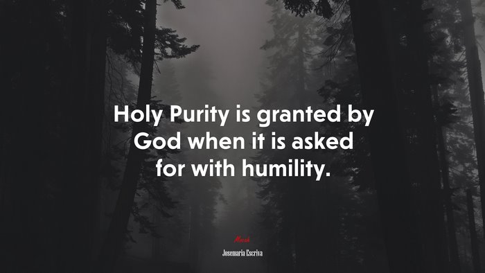 Holy Purity is granted by God when it is asked for with humility. | Josemaría Escrivá quote