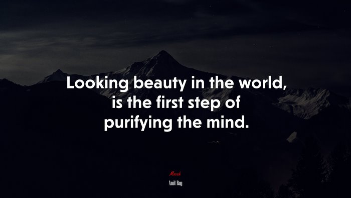 Looking beauty in the world, is the first step of purifying the mind. | Amit Ray quote