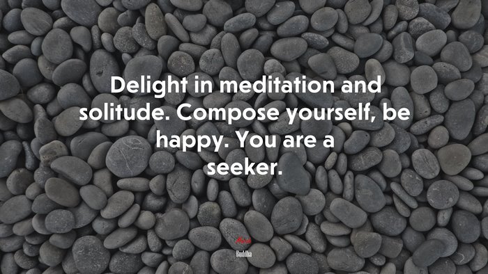 Delight in meditation and solitude. Compose yourself, be happy. You are a seeker. | Buddha quote