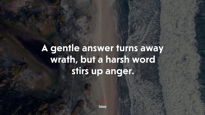 A gentle answer turns away wrath, but a harsh word stirs up anger. | Solomon quote