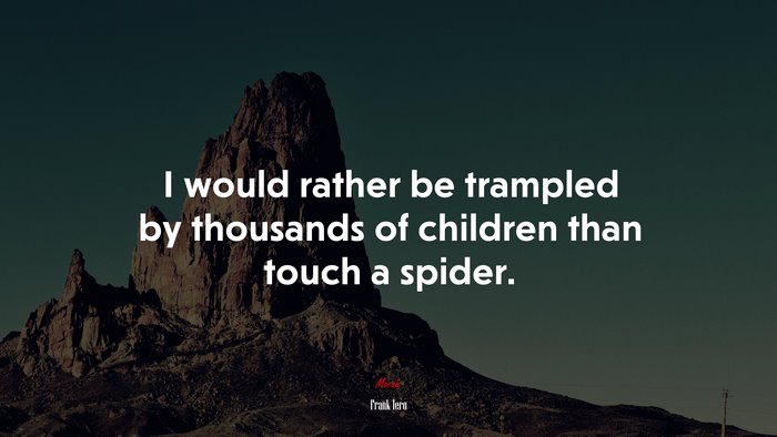 I would rather be trampled by thousands of children than touch a spider. | Frank Iero quote